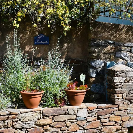 Grilaf - Au Coeur Du Village Typique De Coquet Grimaud